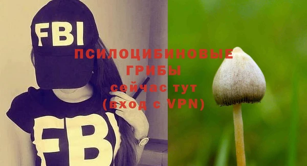 spice Медногорск