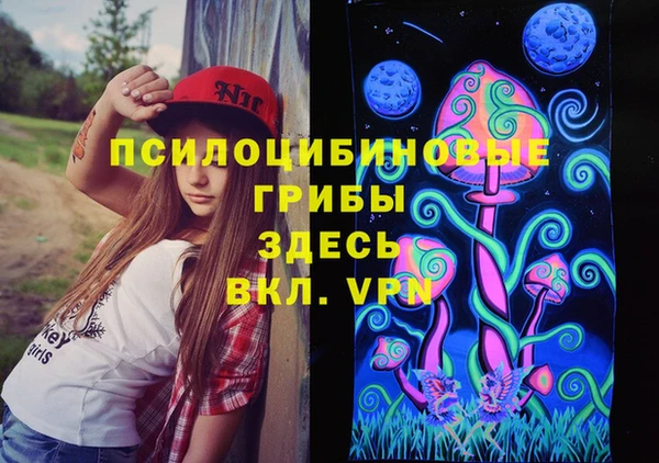 spice Медногорск
