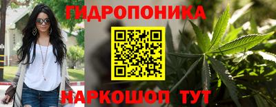 ALPHA PVP Малгобек