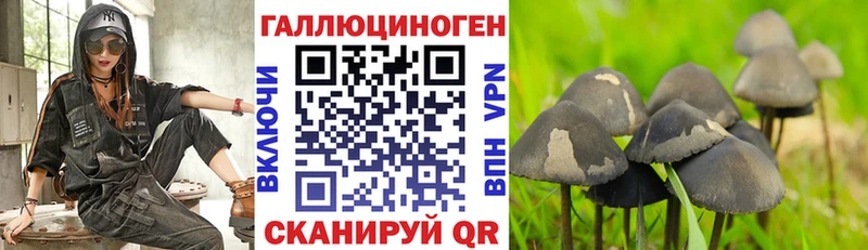 ссылка на мегу как войти  Семилуки  Псилоцибиновые грибы ЛСД 