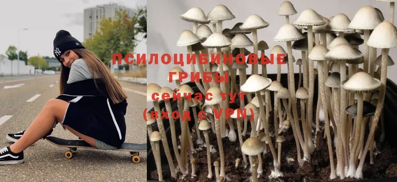 Галлюциногенные грибы GOLDEN TEACHER  ОМГ ОМГ ссылки  Семилуки 
