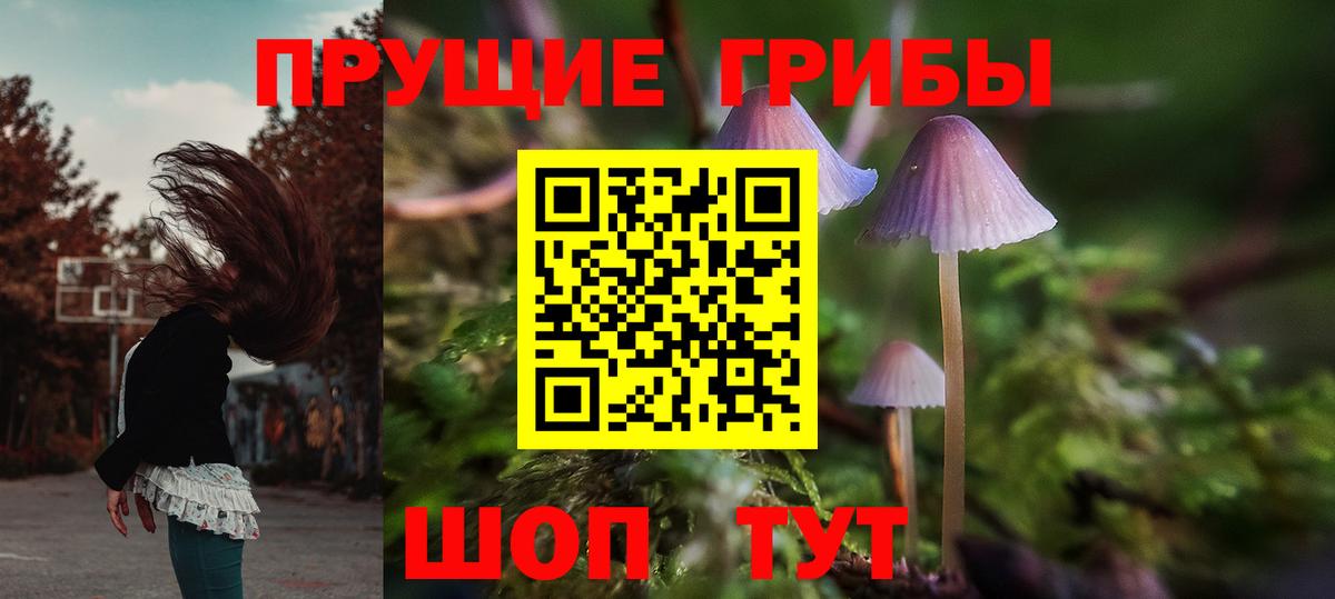 Псилоцибиновые грибы прущие грибы Семилуки