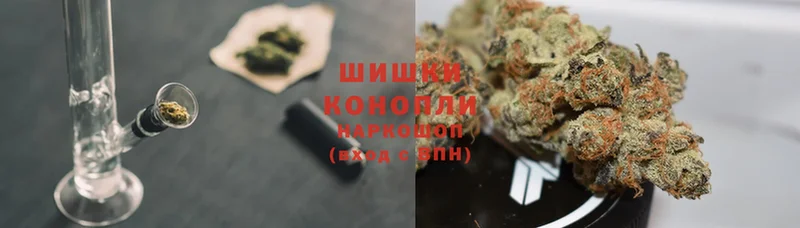 Бошки марихуана план купить Семилуки